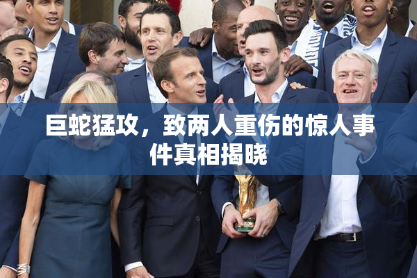 巨蛇猛攻，致两人重伤的惊人事件真相揭晓