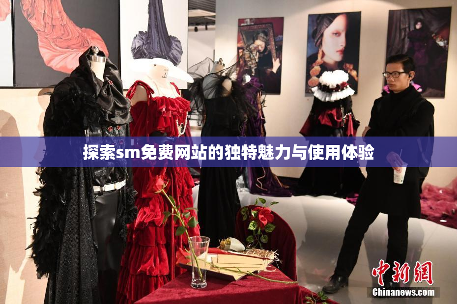 探索sm免费网站的独特魅力与使用体验
