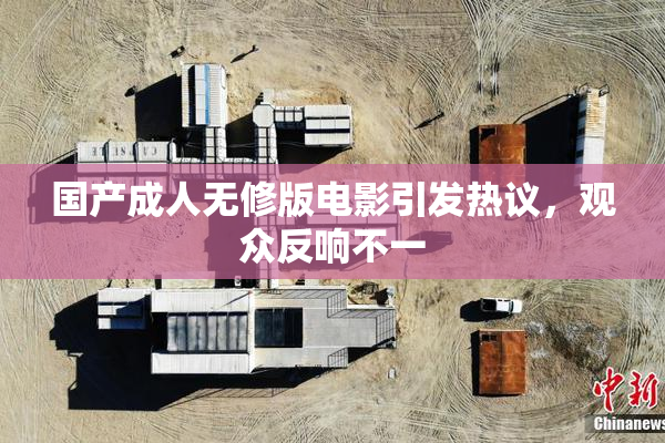 国产成人无修版电影引发热议，观众反响不一