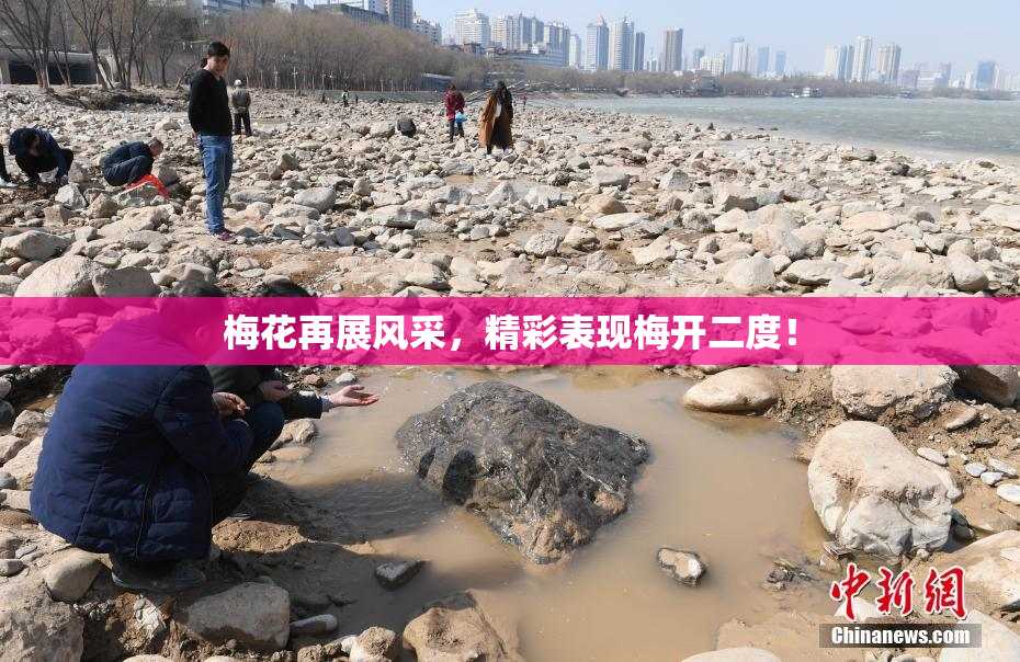 梅花再展风采，精彩表现梅开二度！