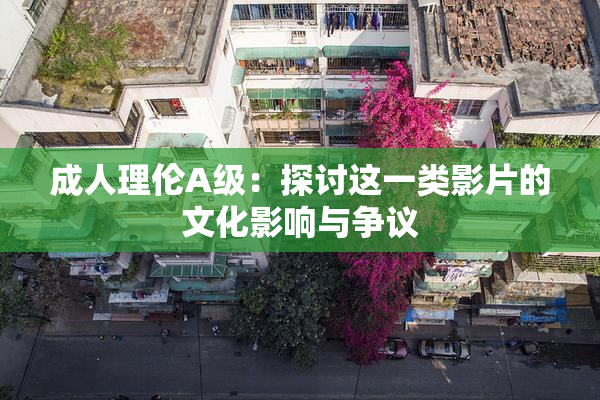 成人理伦A级：探讨这一类影片的文化影响与争议