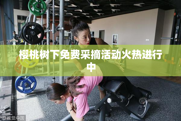 樱桃树下免费采摘活动火热进行中