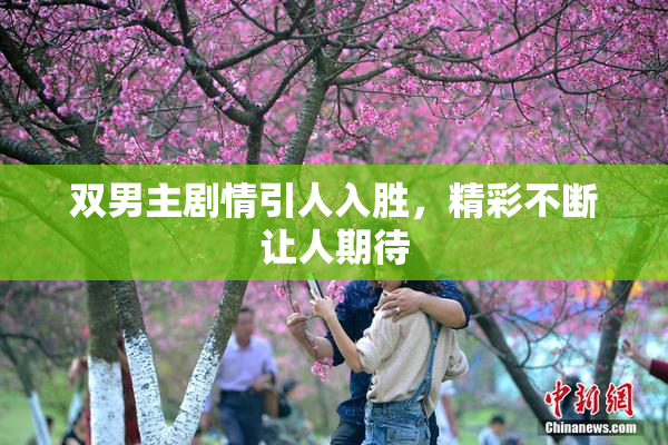 双男主剧情引人入胜，精彩不断让人期待