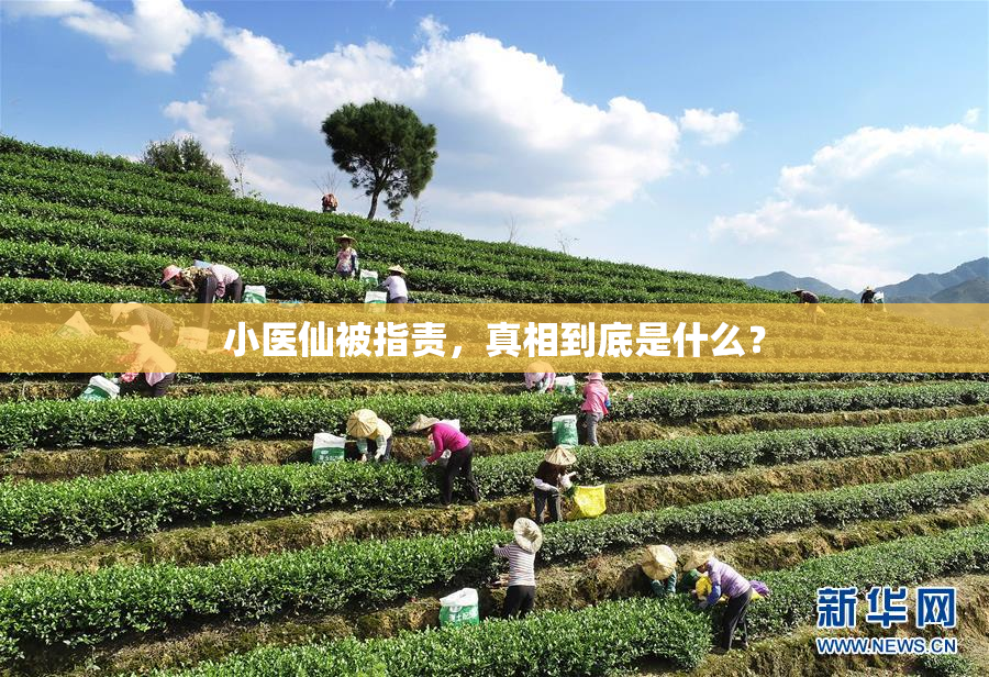 小医仙被指责，真相到底是什么？