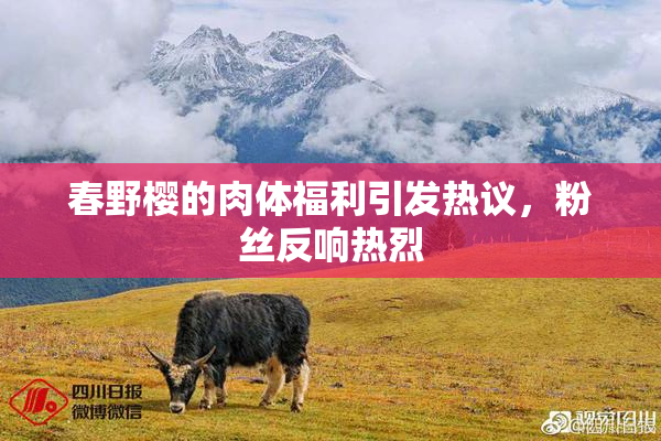 春野樱的肉体福利引发热议，粉丝反响热烈