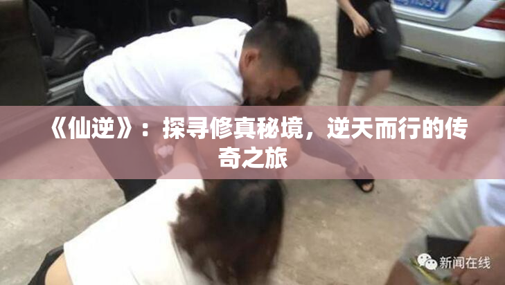 《仙逆》：探寻修真秘境，逆天而行的传奇之旅