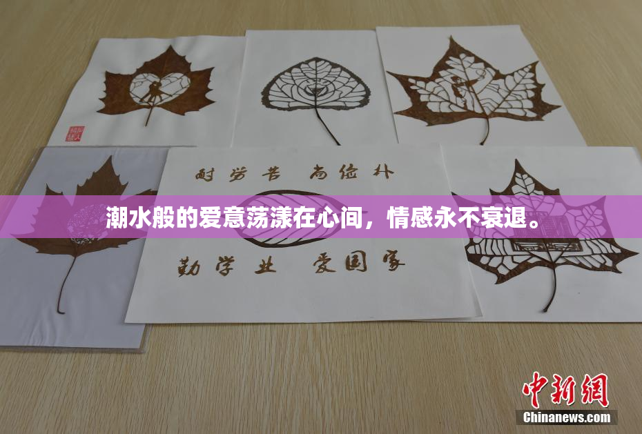 潮水般的爱意荡漾在心间，情感永不衰退。