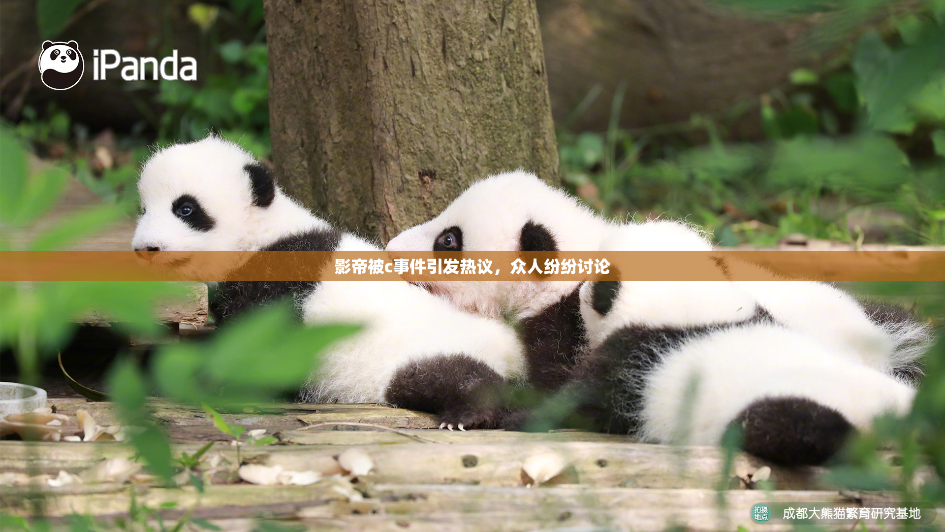 影帝被c事件引发热议，众人纷纷讨论