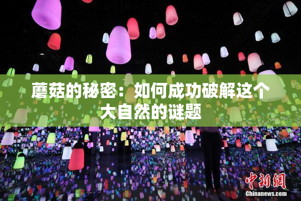 蘑菇的秘密：如何成功破解这个大自然的谜题