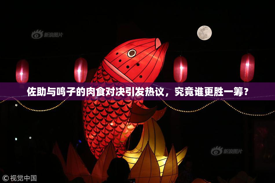 佐助与鸣子的肉食对决引发热议，究竟谁更胜一筹？