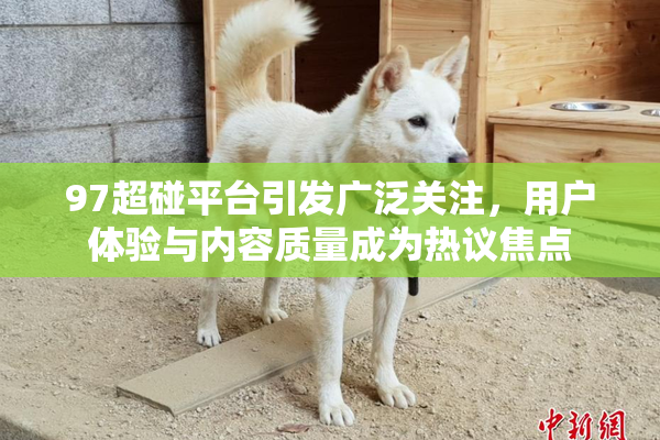 97超碰平台引发广泛关注，用户体验与内容质量成为热议焦点