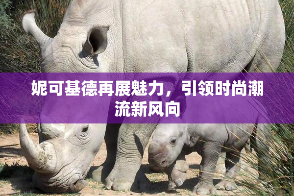 妮可基德再展魅力，引领时尚潮流新风向