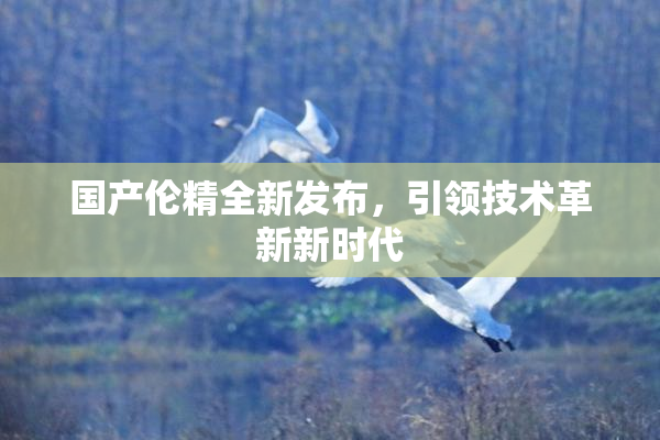 国产伦精全新发布，引领技术革新新时代