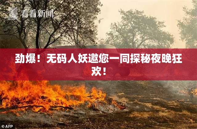 劲爆！无码人妖邀您一同探秘夜晚狂欢！