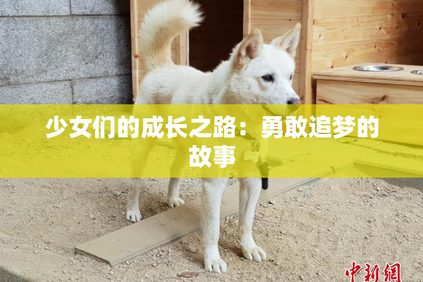 少女们的成长之路：勇敢追梦的故事
