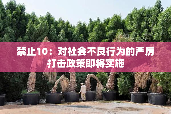 禁止10：对社会不良行为的严厉打击政策即将实施