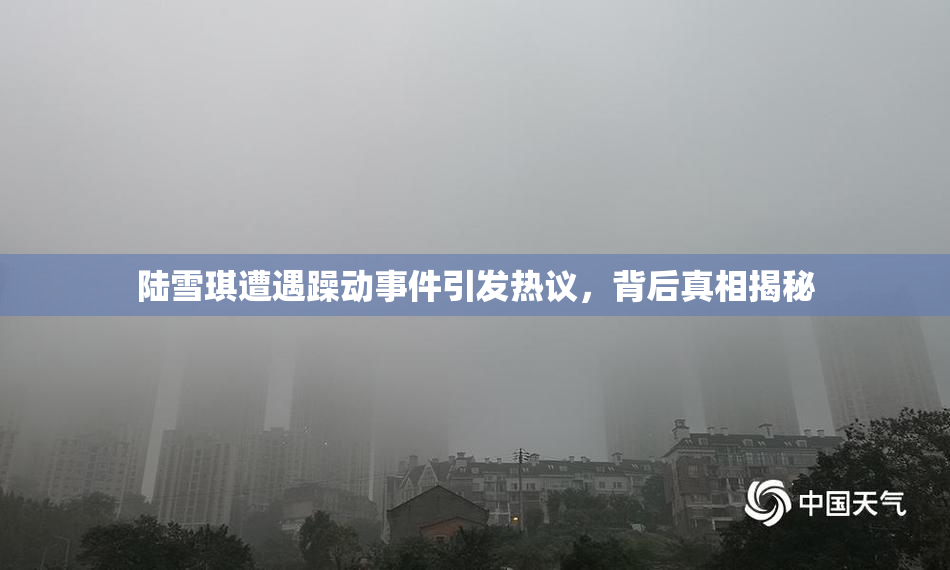 陆雪琪遭遇躁动事件引发热议，背后真相揭秘