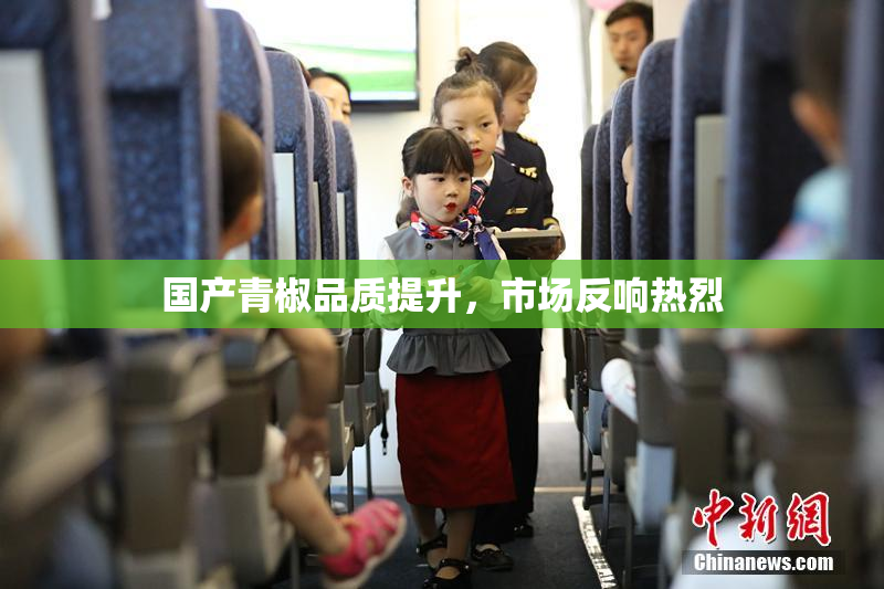 国产青椒品质提升，市场反响热烈