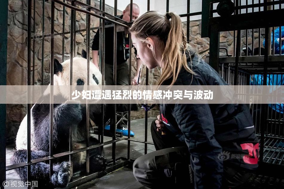 少妇遭遇猛烈的情感冲突与波动