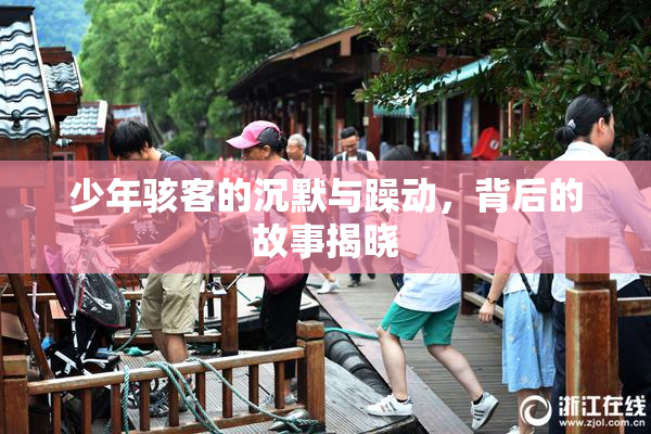 少年骇客的沉默与躁动，背后的故事揭晓