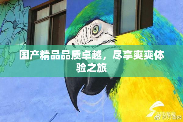 国产精品品质卓越，尽享爽爽体验之旅