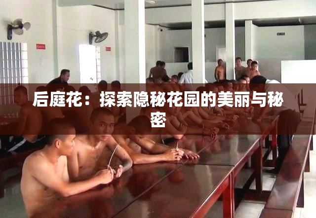 后庭花：探索隐秘花园的美丽与秘密
