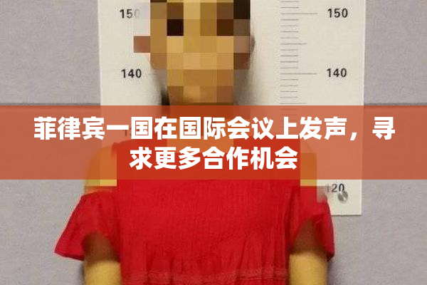 菲律宾一国在国际会议上发声，寻求更多合作机会