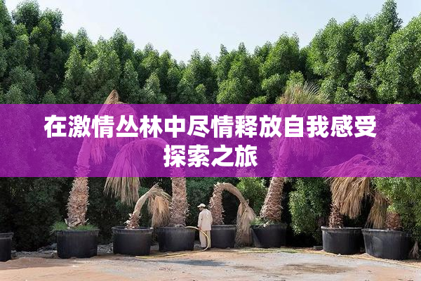 在激情丛林中尽情释放自我感受探索之旅