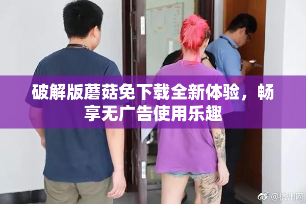破解版蘑菇免下载全新体验，畅享无广告使用乐趣