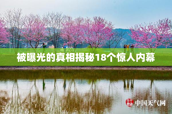 被曝光的真相揭秘18个惊人内幕