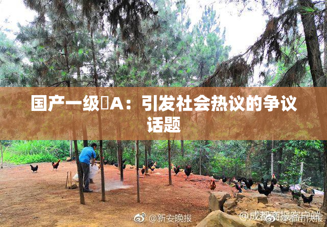 国产一级婬A：引发社会热议的争议话题