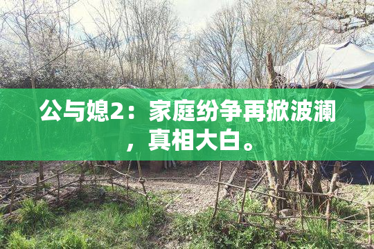 公与媳2：家庭纷争再掀波澜，真相大白。