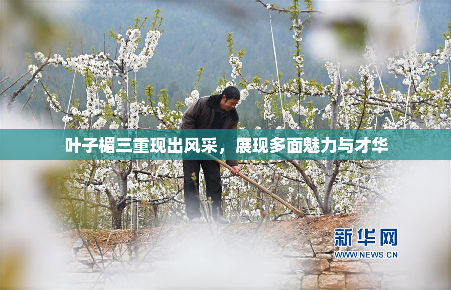 叶子楣三重现出风采，展现多面魅力与才华