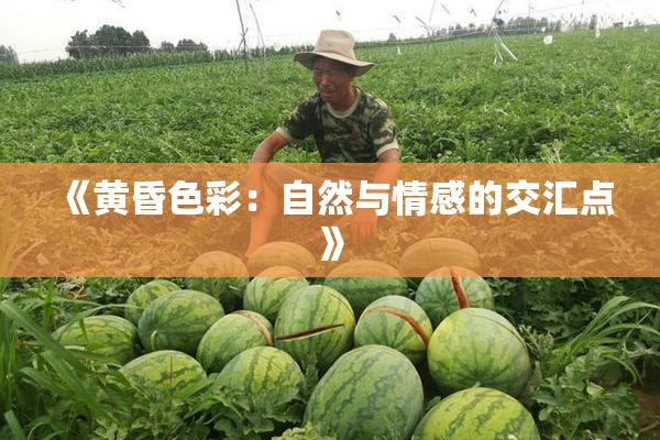 《黄昏色彩：自然与情感的交汇点》