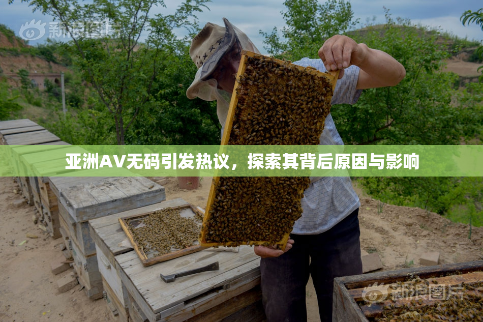 亚洲AV无码引发热议，探索其背后原因与影响