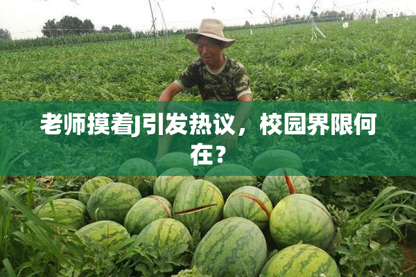 老师摸着J引发热议，校园界限何在？