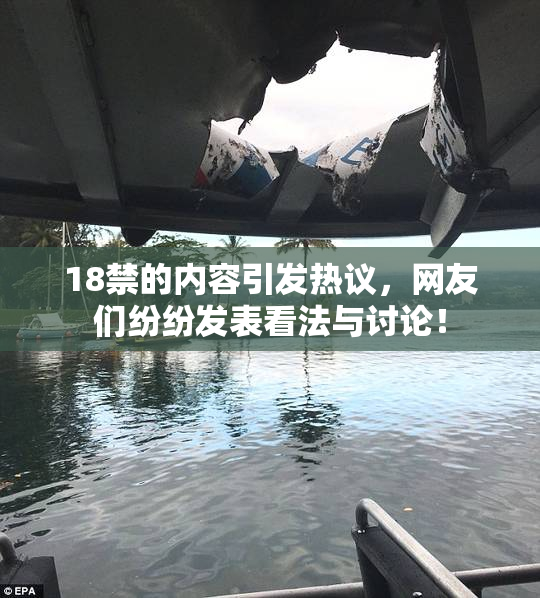 18禁的内容引发热议，网友们纷纷发表看法与讨论！