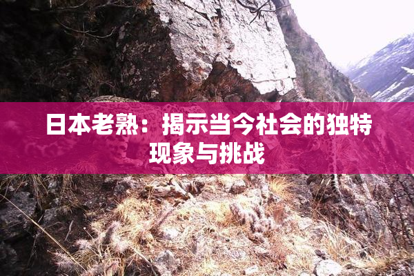 日本老熟：揭示当今社会的独特现象与挑战