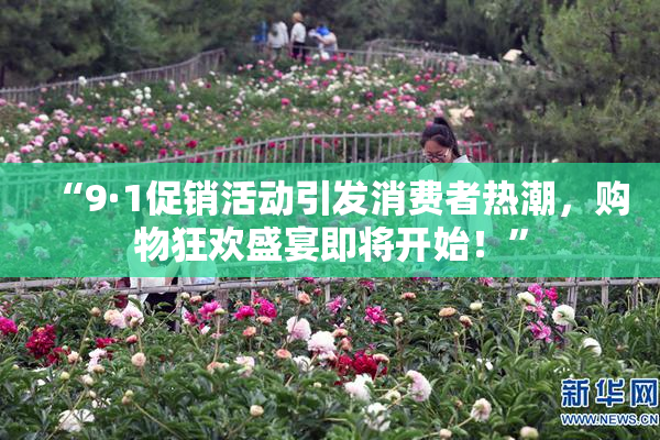 “9·1促销活动引发消费者热潮，购物狂欢盛宴即将开始！”