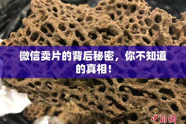 微信卖片的背后秘密，你不知道的真相！