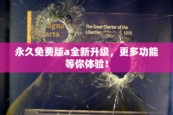 永久免费版a全新升级，更多功能等你体验！