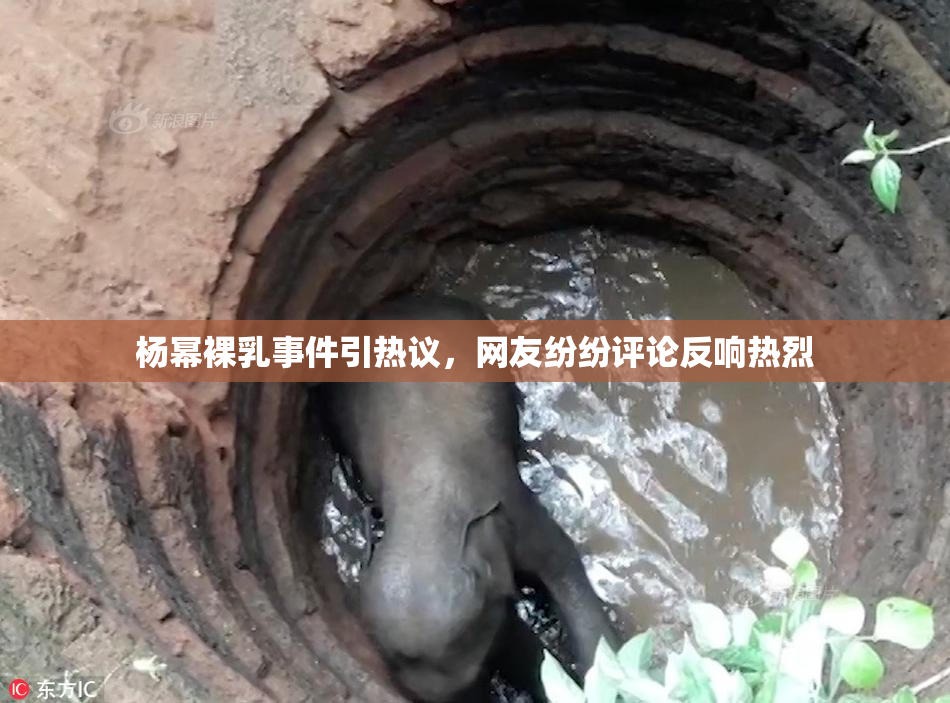 杨幂裸乳事件引热议，网友纷纷评论反响热烈
