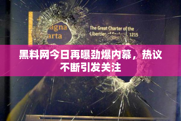 黑料网今日再曝劲爆内幕，热议不断引发关注