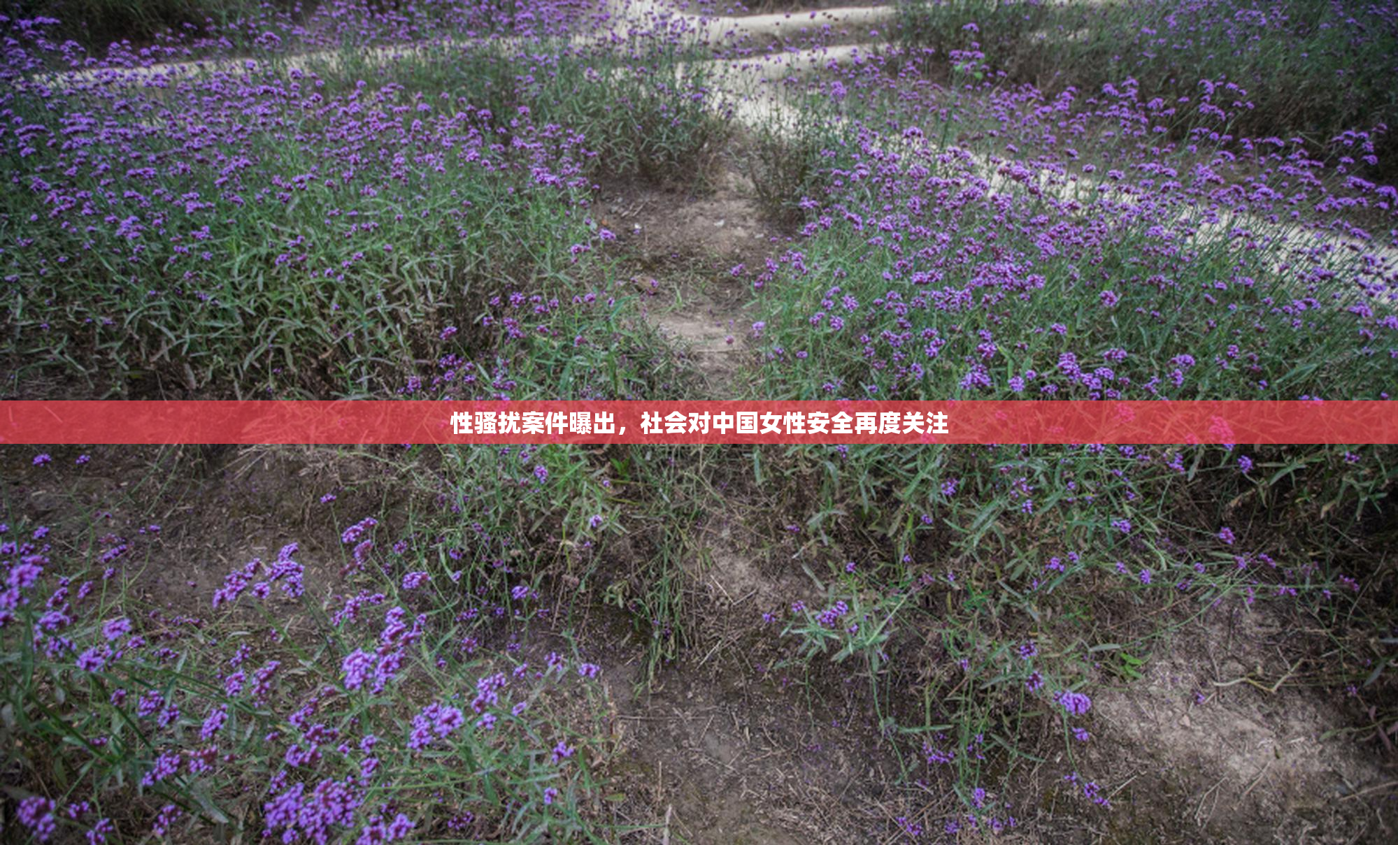 性骚扰案件曝出，社会对中国女性安全再度关注