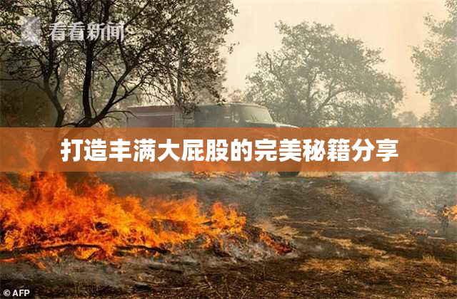 打造丰满大屁股的完美秘籍分享