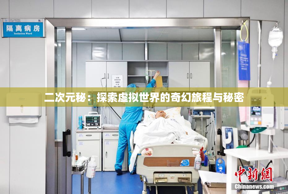二次元秘：探索虚拟世界的奇幻旅程与秘密