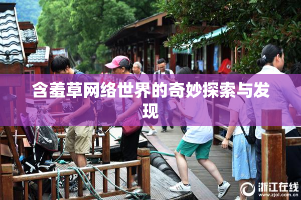 含羞草网络世界的奇妙探索与发现