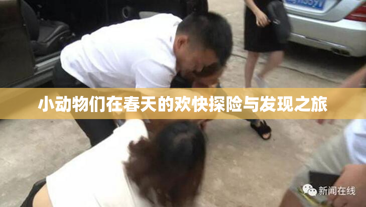 小动物们在春天的欢快探险与发现之旅