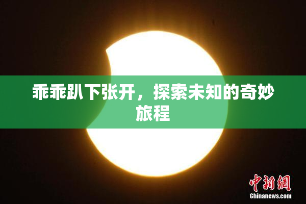 乖乖趴下张开，探索未知的奇妙旅程