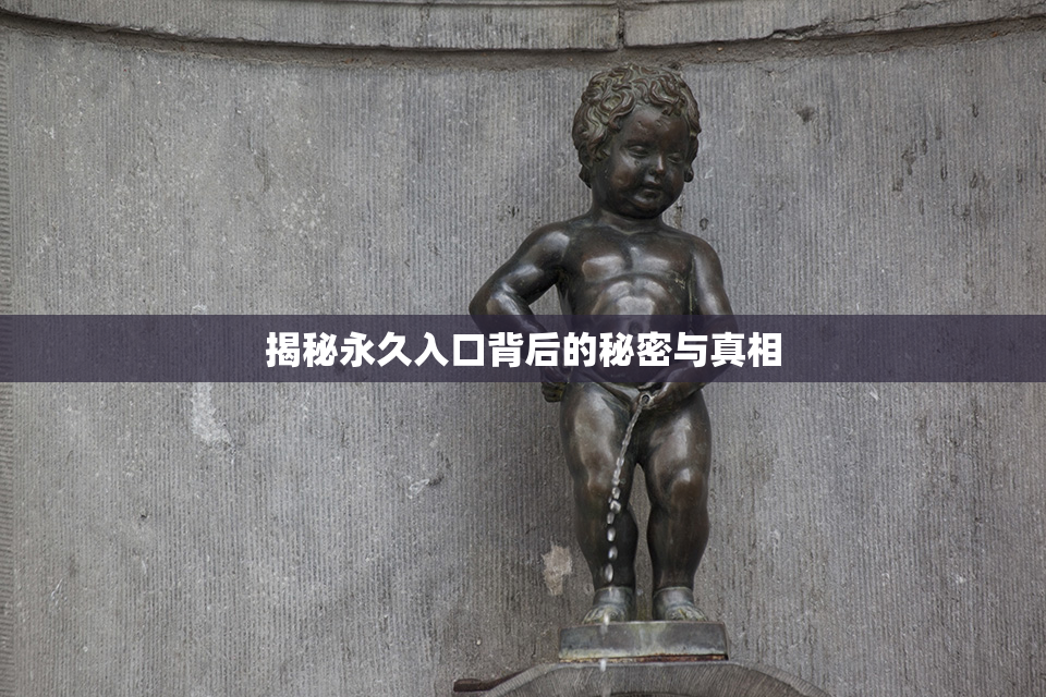 揭秘永久入口背后的秘密与真相